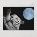 Recherche de endormi cartes postales Lune