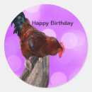 Recherche de poulailler autocollants Drôle