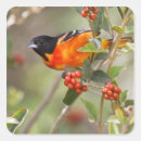 Recherche de migration autocollants Habitat