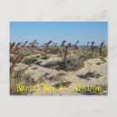 Recherche de barils cartes postales Pour tous