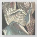 Recherche de coquillage dessous de verres Coquille