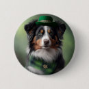 Recherche de chiens de berger australiens badges Dog