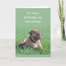 Recherche de ridé vœux cartes Dog