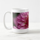 Recherche de fleur de dahlia tasses Photographie