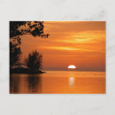 Recherche de westies cartes postales Coucher du soleil