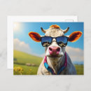 Recherche de vache à lait cartes postales Animal