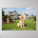 Recherche de golden retriever posters Extracteur