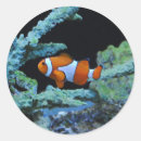 Recherche de nemo autocollants Mer