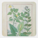 Recherche de traitement médical autocollants Traiter