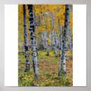 Recherche de de bouleau posters Feuille