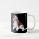 Recherche de epagneul tasses Chiot