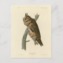 Recherche de longues oreilles cartes postales Oiseau