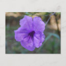 Recherche de loch écossais cartes postales Écosse