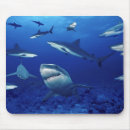 Recherche de requins tapis souris Enfants