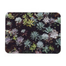 Recherche de assortiment magnets Pour tous