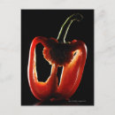 Recherche de légume cartes postales Plan studio