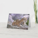 Recherche de jaguars vœux cartes Gros chat