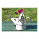 Recherche de cyclamen art Nature