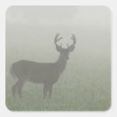Recherche de great smoky mountains autocollants Nature
