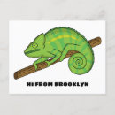 Recherche de lézard vert cartes postales Illustration