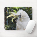 Recherche de soufre tapis souris Cockatoo