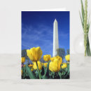 Recherche de bassin de marée vœux cartes Dc washington