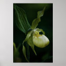 Recherche de glissière posters Nature