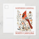 Recherche de cardinal du nord cartes postales Nature