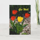 Recherche de get well vœux cartes Ami(e)