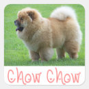 Recherche de chow chow autocollants Chiot