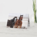 Recherche de colts vœux cartes Cheval sauvage