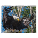 Recherche de oiseau calendriers Rapace