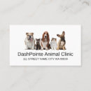 Recherche de refuge pour animaux cartes visite Animal de compagnie