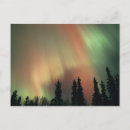 Recherche de fairbanks cartes postales Lumières du nord