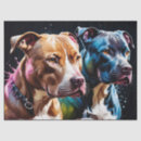 Recherche de pitbull cadeau emballages Portrait