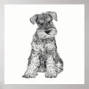 Recherche de mini schnauzers posters Chien