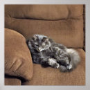 Recherche de sofas posters Canapé