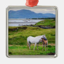 Recherche de de cheval ornements Dehors