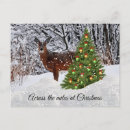 Recherche de deer cartes postales Vacances