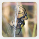Recherche de arachnids autocollants Effrayant