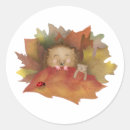 Recherche de dormant autocollants Faune