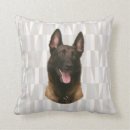 Recherche de malinois coussins Animal