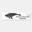 Recherche de bosse voiture autocollants Baleine