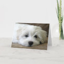 Recherche de disparu vœux cartes Famille