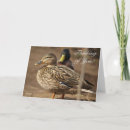 Recherche de chasseur de canard vœux cartes Nature