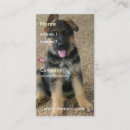Recherche de chiot berger allemand cartes visite Chiots