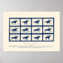 Recherche de jument posters Colt