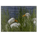 Recherche de canard planches à découper Faune