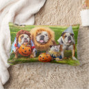 Recherche de halloween coussins Drôle