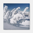 Recherche de neige couverte magnets Arbre